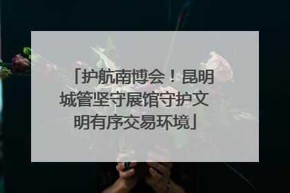 护航南博会！昆明城管坚守展馆守护文明有序交易环境