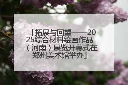 拓展与回望——2025综合材料绘画作品（河南）展览开幕式在郑州美术馆举办