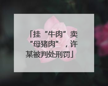 挂“牛肉”卖“母猪肉”，许某被判处刑罚