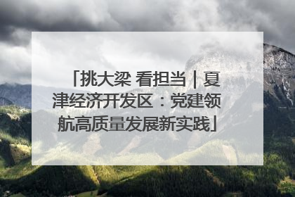 挑大梁 看担当｜夏津经济开发区：党建领航高质量发展新实践