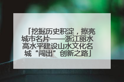 挖掘历史积淀，擦亮城市名片——浙江丽水高水平建设山水文化名城“闯出”创新之路