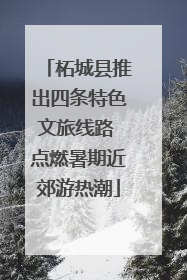 柘城县推出四条特色文旅线路 点燃暑期近郊游热潮