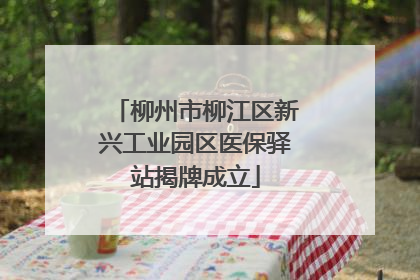 柳州市柳江区新兴工业园区医保驿站揭牌成立