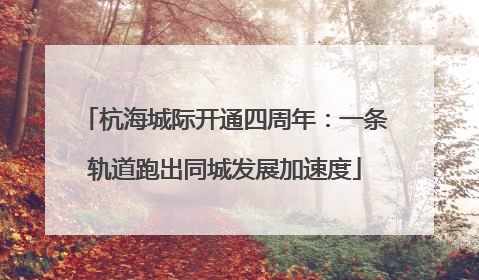 杭海城际开通四周年：一条轨道跑出同城发展加速度