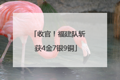 收官！福建队斩获4金7银9铜