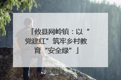 攸县网岭镇：以“党建红”筑牢乡村教育“安全绿”