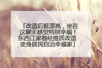 改造后挺漂亮，坐在这聊天感觉特别幸福！东西江家巷经提质改造变身居民自治幸福家