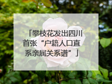 攀枝花发出四川首张“户籍人口直系亲属关系谱”
