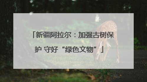 新疆阿拉尔：加强古树保护 守好“绿色文物”