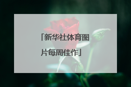 新华社体育图片每周佳作