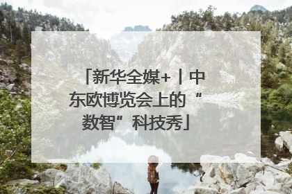 新华全媒+丨中东欧博览会上的“数智”科技秀