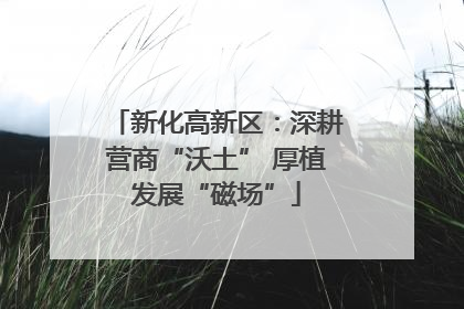 新化高新区：深耕营商“沃土” 厚植发展“磁场”