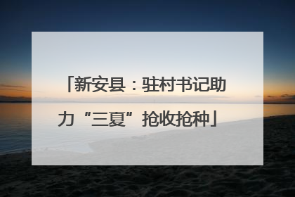 新安县：驻村书记助力“三夏”抢收抢种