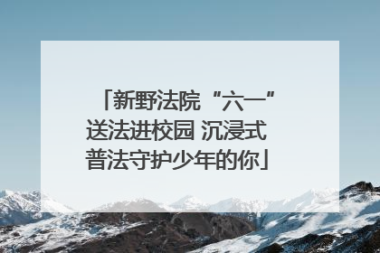 新野法院“六一”送法进校园 沉浸式普法守护少年的你