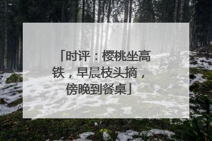 时评：樱桃坐高铁，早晨枝头摘，傍晚到餐桌