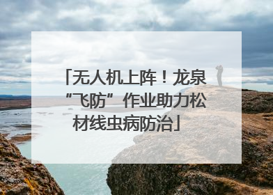 无人机上阵！龙泉“飞防”作业助力松材线虫病防治