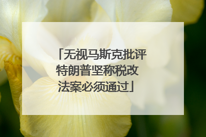 无视马斯克批评 特朗普坚称税改法案必须通过