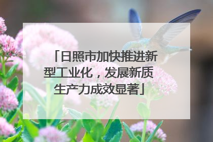 日照市加快推进新型工业化，发展新质生产力成效显著