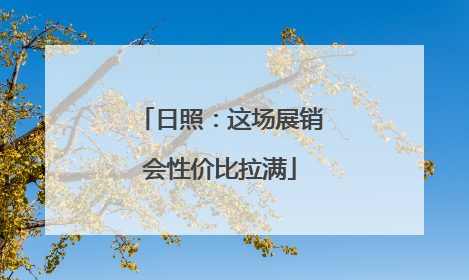 日照：这场展销会性价比拉满