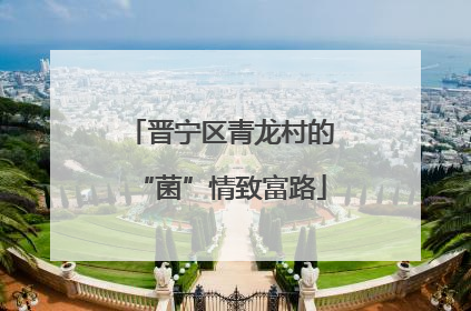 晋宁区青龙村的“菌”情致富路