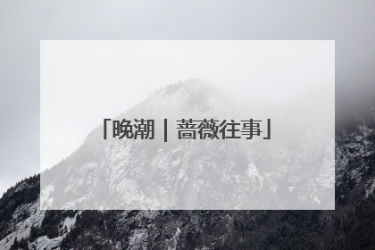 晚潮｜蔷薇往事