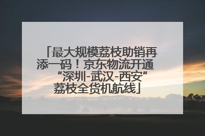最大规模荔枝助销再添一码！京东物流开通“深圳-武汉-西安” 荔枝全货机航线