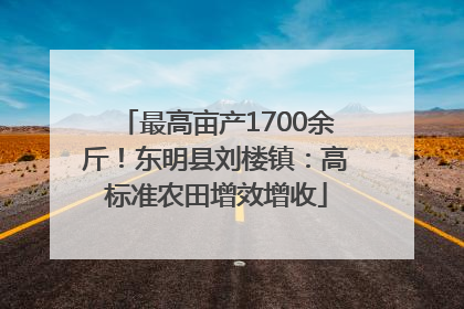 最高亩产1700余斤！东明县刘楼镇：高标准农田增效增收