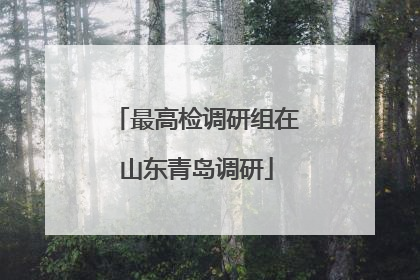最高检调研组在山东青岛调研