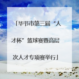 毕节市第三届“人才杯”篮球赛暨高层次人才专项赛举行