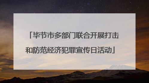 毕节市多部门联合开展打击和防范经济犯罪宣传日活动