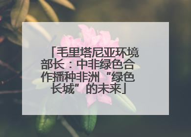 毛里塔尼亚环境部长：中非绿色合作播种非洲“绿色长城”的未来