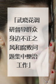 武晓花调研督导群众身边不正之风和腐败问题集中整治工作