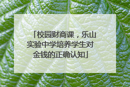校园财商课，乐山实验中学培养学生对金钱的正确认知