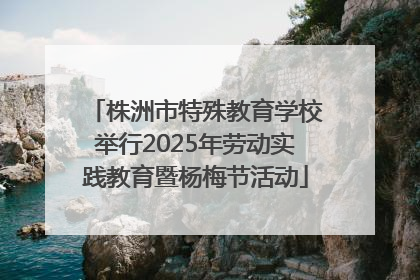 株洲市特殊教育学校举行2025年劳动实践教育暨杨梅节活动