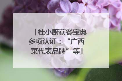 桂小厨获餐宝典多项认证：“广西菜代表品牌”等