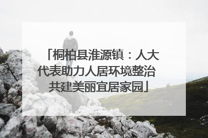 桐柏县淮源镇：人大代表助力人居环境整治 共建美丽宜居家园