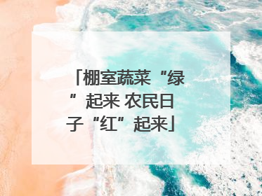 棚室蔬菜“绿”起来 农民日子“红”起来
