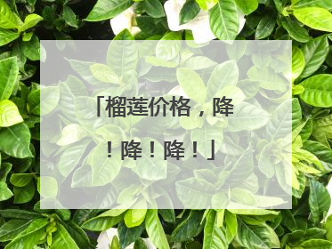 榴莲价格，降！降！降！