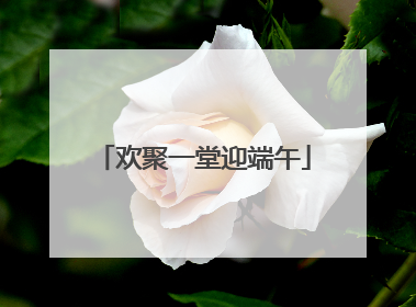 欢聚一堂迎端午