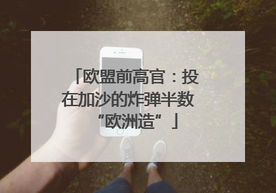 欧盟前高官：投在加沙的炸弹半数“欧洲造”