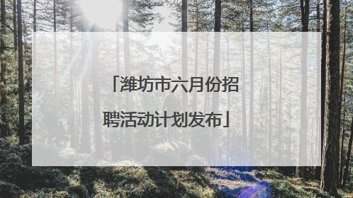 潍坊市六月份招聘活动计划发布