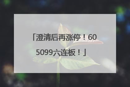 澄清后再涨停！605099六连板！