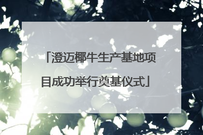 澄迈椰牛生产基地项目成功举行奠基仪式