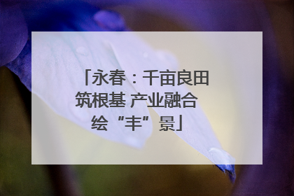 永春：千亩良田筑根基 产业融合绘“丰”景
