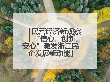 民营经济新观察丨“信心、创新、安心”激发浙江民企发展新动能