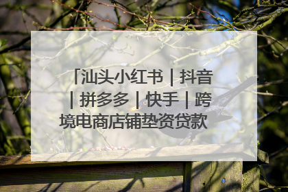 汕头小红书｜抖音｜拼多多｜快手｜跨境电商店铺垫资贷款企业-漫商易
