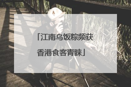 江南乌饭粽频获香港食客青睐