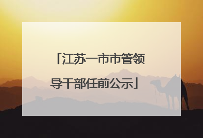 江苏一市市管领导干部任前公示