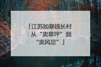江苏如皋钱长村：从“卖草坪”到“卖风景”