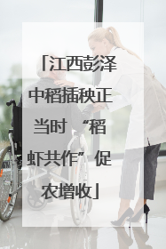 江西彭泽中稻插秧正当时 “稻虾共作”促农增收